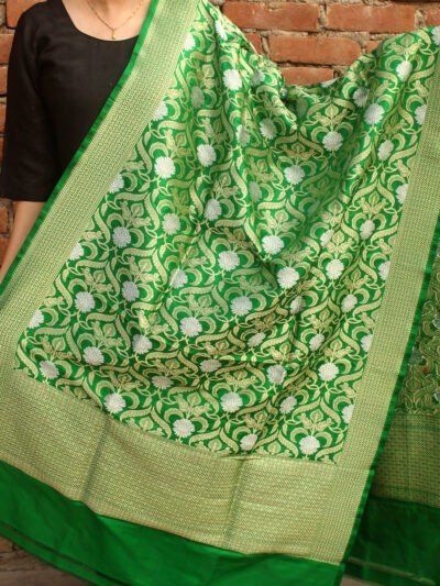 Golden,-silver-zari-work-Green-Handwoven-banarasi-katan-silk-dupatta