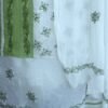 Gree(leaf)-and-white-chikankari-cotton-suit-chiffon-dupatta