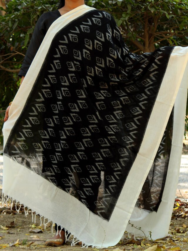 Ivory-border,-black-and-white-missing-thread-ikkat-dupatta