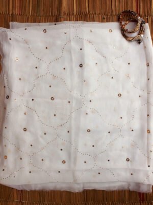 Jaal-mukaish-embroidery-white-georgette-dupatta