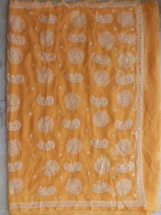 Light-orange-lucknow-chikankari-sari