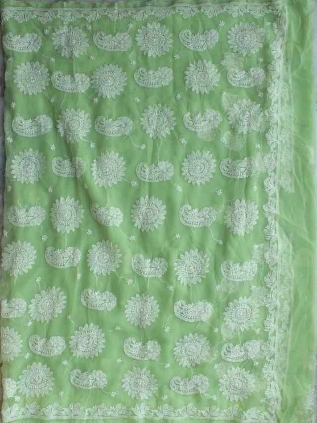 Lime-green-georgette-chikankari-saree