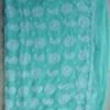 Mint-green-jorjet-chikankari-embroidered-saree