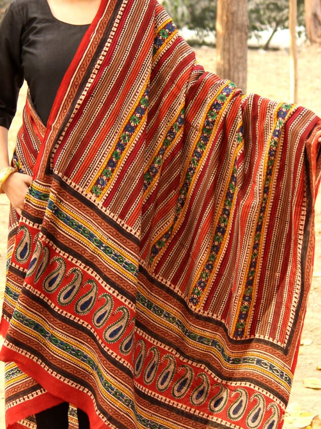 Paisley-border-bagru-block-printed-cotton-dupatta