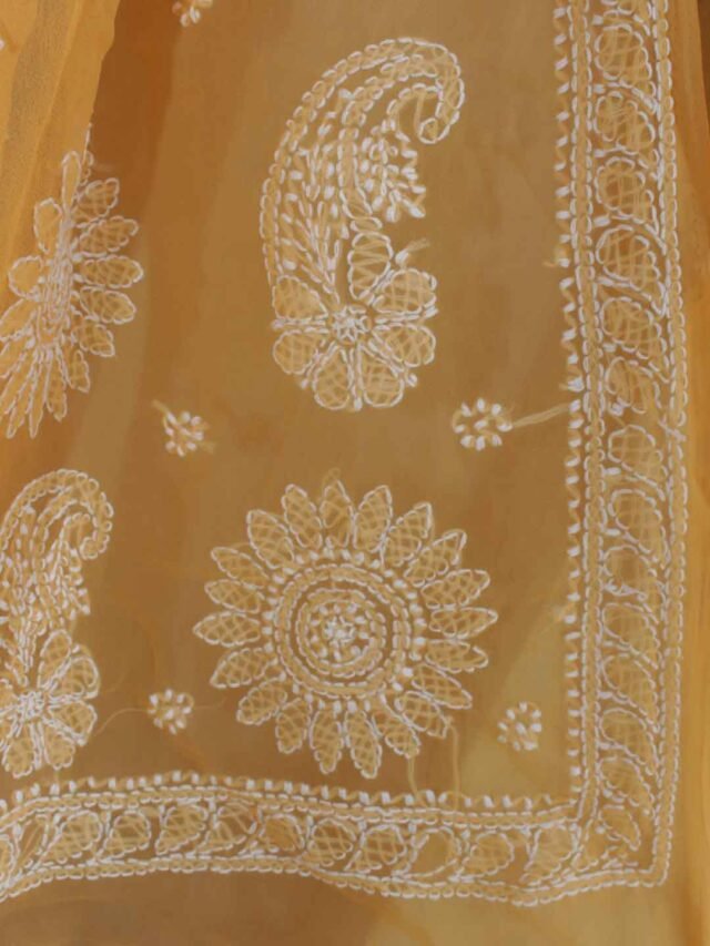 Pastel-orange-lucknow-chikankari-jorjet-sari