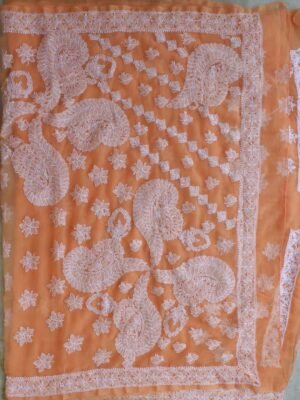 Peach-orange-jorjet-embroidered-lucknowi-saree