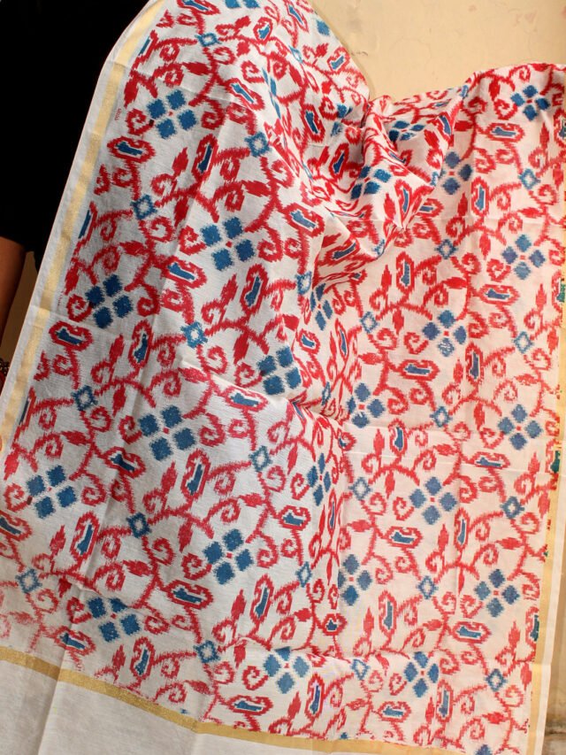 Red-and-Blue-Screen-printed-art-chanderi-dupatta