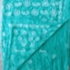 Sea-green-lucknow-chikankari-georgetee-sari