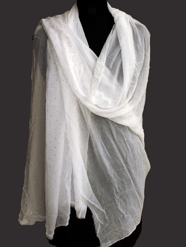 White-mukesh-embroidery-georgette-dupatta
