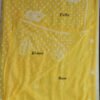 Yellow-and-white-Lucknow-chikankari-georgette-saree