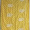 Yellow-and-white-jorjet-chikankari-lucknowi-saree