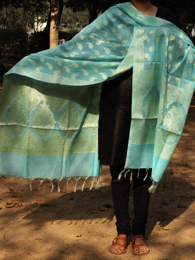 blue-silk-cotton-banarasi-dupatta-2