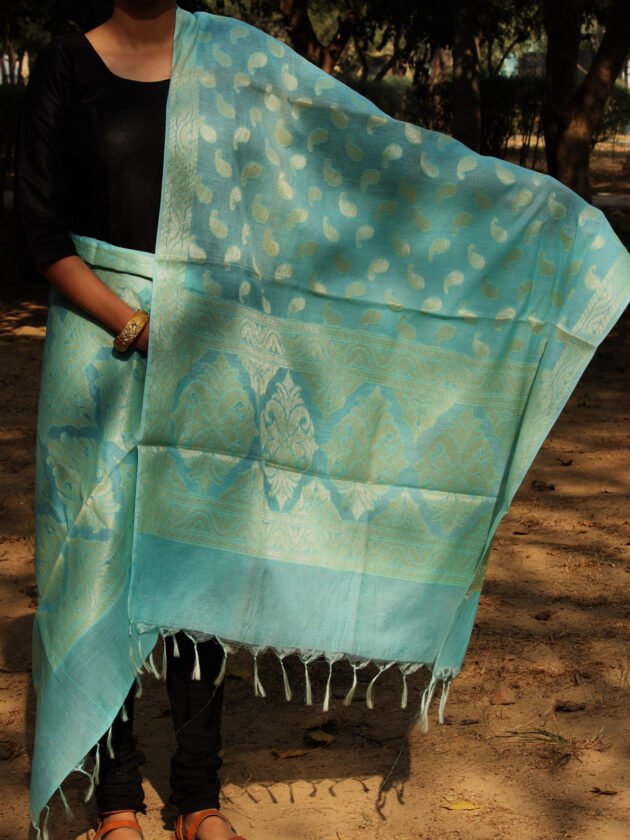 blue-silk-cotton-banarasi-dupatta2