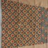 light-brown-punjabi-fulkari-cotton-salwar