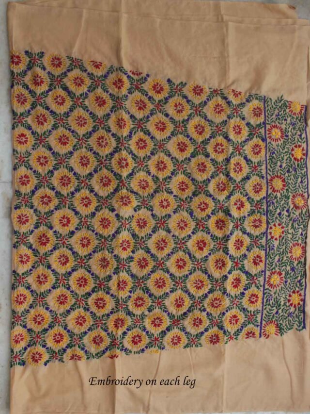 light-brown-punjabi-fulkari-cotton-salwar