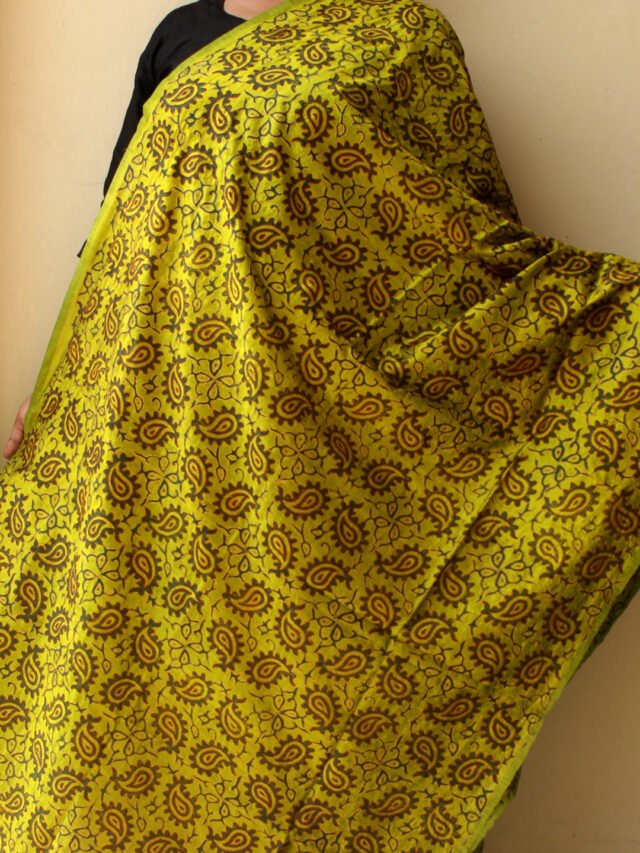 lime-green-and-dark-green-block-print,-kanthawork-silk-dupatta
