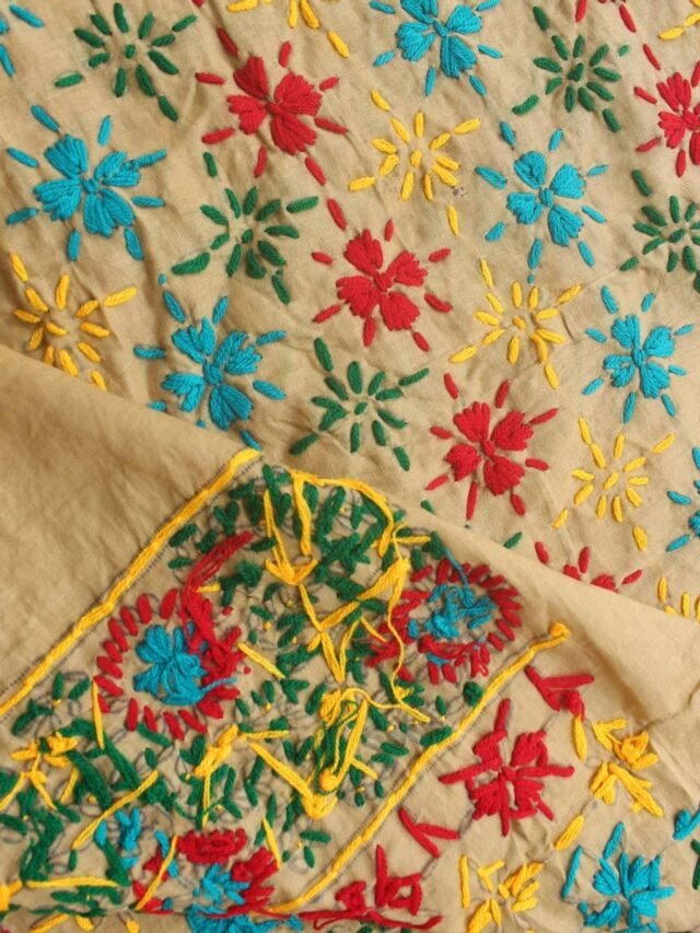 multicolou-phulkari-on-beige-brown-pant-fabric
