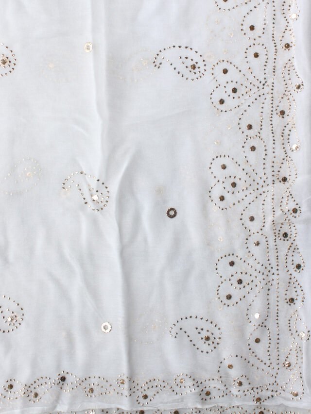 aisley-mukesh-zari-work-white-georgette-dupatta-
