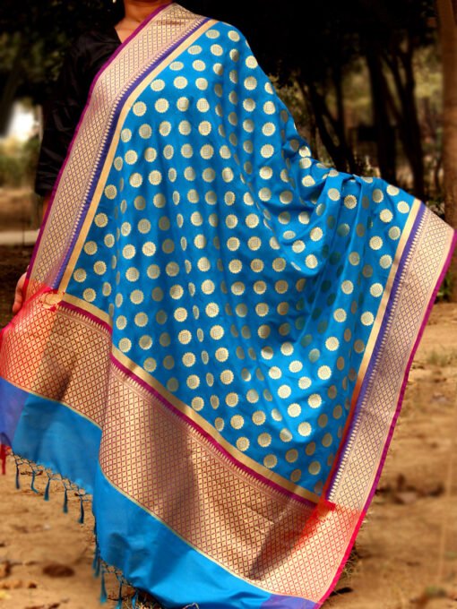 pink-border,-blue-asharfi-motif-banarasi-dupatta