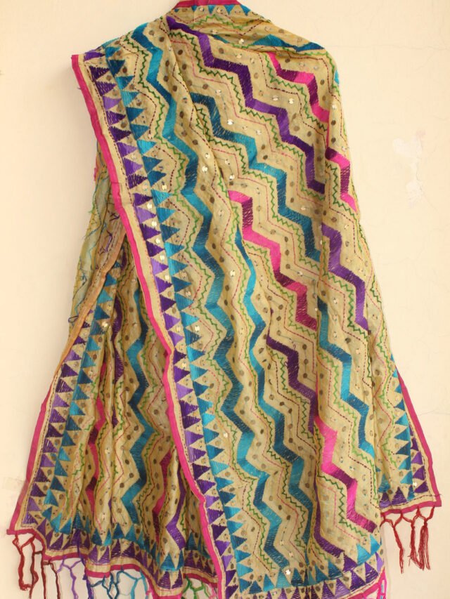 pink,-purple-blue-zig-zag-fhulkari-on-pale-yellow-dupatta