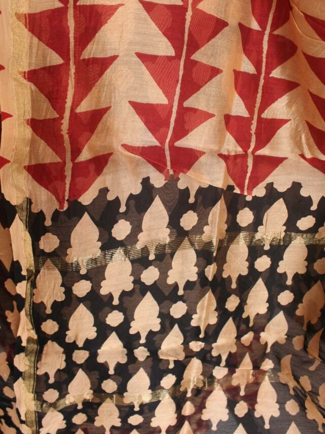 red-and-black-block-printed-chanderi-dupatta-Shilphaat