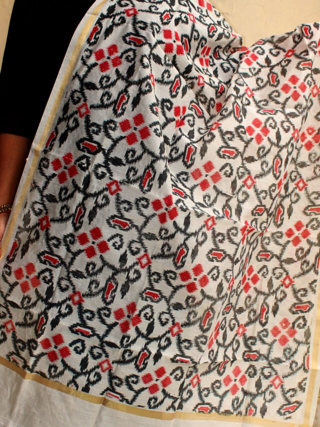 red-and-black-screen-printed-art-chanderi-dupatta