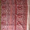 red-madhubani-on-white-bhagalpuri-saree-palla