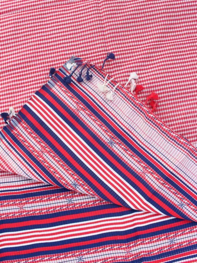 Red,-white,-blue-bhujodi-kala-cotton-dupatta