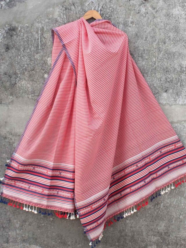 Red,-white,-blue-kala-cotton-bhujodi-dupatta