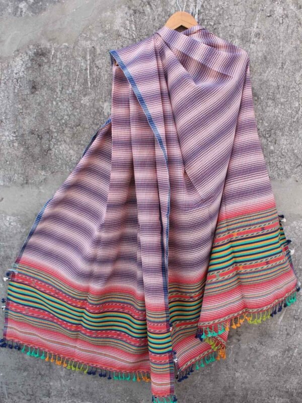 Blue-and-white-Kala-cotton-bhujodi-dupatta