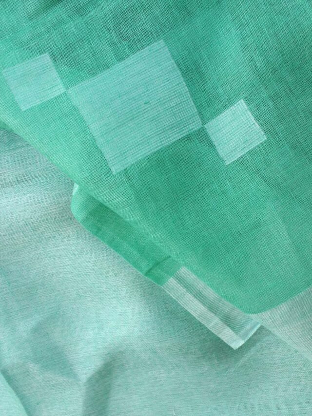 Mint-Green-silver-zari-woven--pure-linen-sari