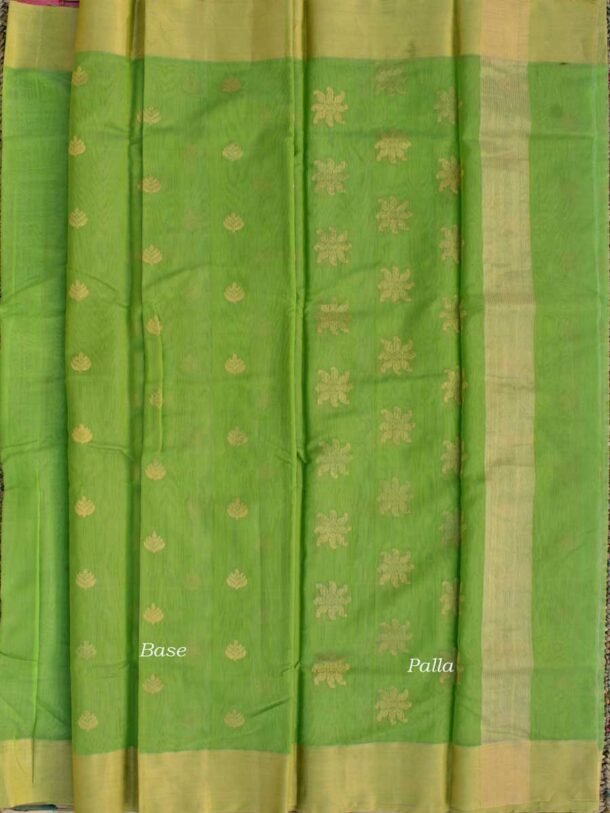 Dhani-green-zariwork-chanderi--silk-cotton-saree