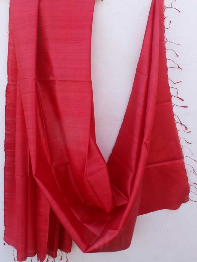 Red-Dupion-tussar-silk-dupatta