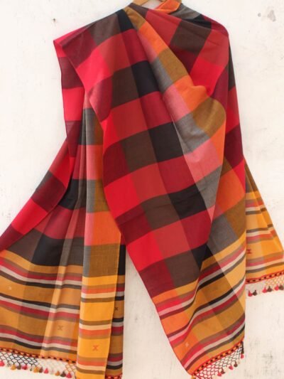 Multicolour-checks-bhujodi-cotton-dupatta