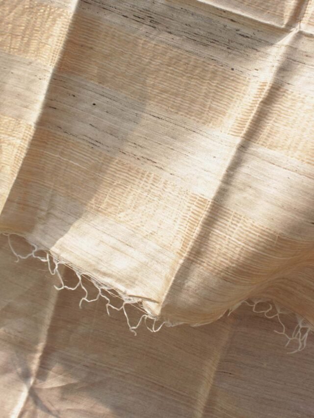 Zariwork-beige-pure-Desi-tassar-silk-Sari at Shilphaat.com