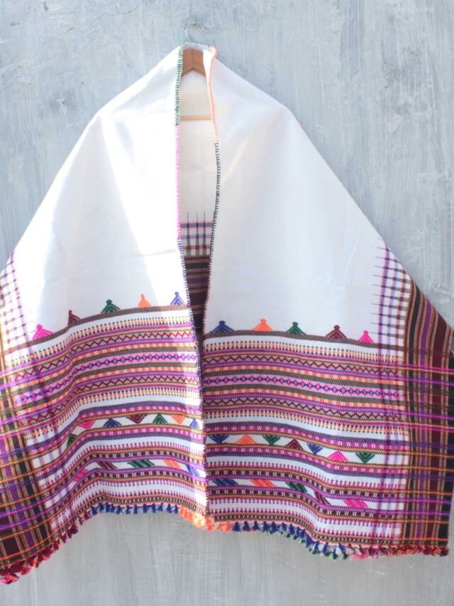 Gujarati-Dhabla-Shawl-Shilphaat
