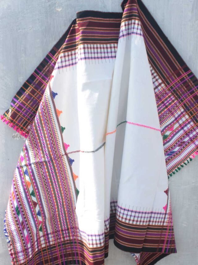 Gujarati-Dhabla-Shawl-blanket-Shilphaat