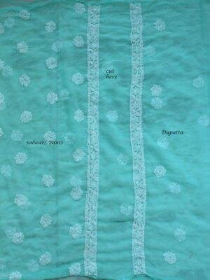 Mint-Green-Mukesh-chikankari-georgette-ladies-suit