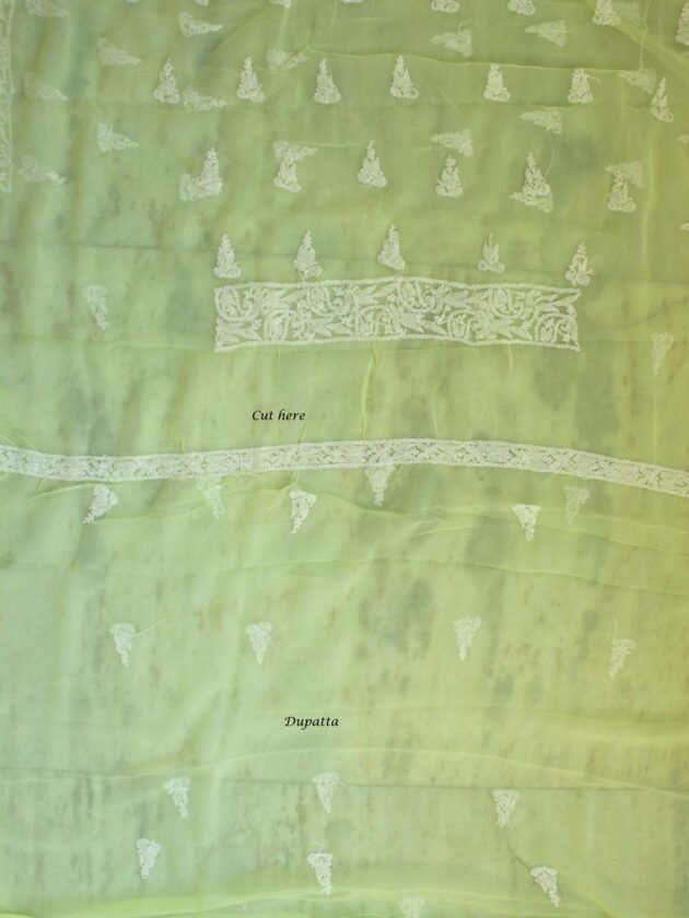 mindaro-Yellow-georgette-chikankari-salwar-suit at SHilphaat.com