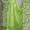 Apple-Green-georgette-chikankari-dress-material at Shilphaat.com