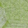 Apple-Green-georgette-chikankari-lucknowi-suit at Shilphaat.com