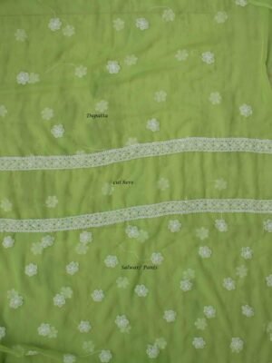 Apple-green--georgette-chikankari-salwar-suit at Shilphaat.com