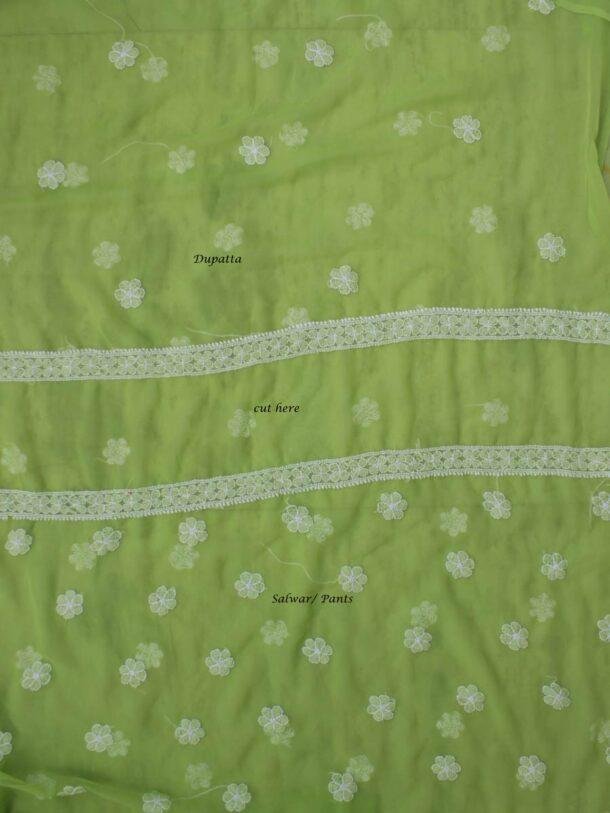 Apple-green--georgette-chikankari-salwar-suit at Shilphaat.com