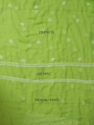 Banana-Green-chikankari--georgette-3pc-ladies-suit at Shilphaat.com