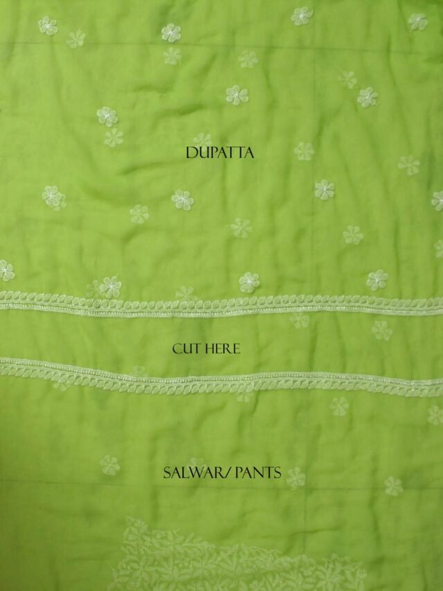 Banana-Green-chikankari--georgette-3pc-ladies-suit at Shilphaat.com