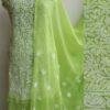 Banana-Green-georgette-chikankari-dress-material at Shilphaat.com