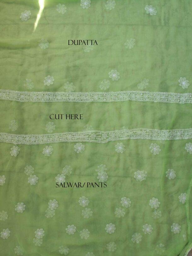 Banana-Green-mukaish-chikankari-chiffon-lucknowi-suit at Shilphaat.com