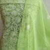 Dhani-Green-chikankari-georgette-3pc-ladies-suit at Shilphaat.com