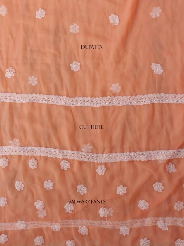 Orange-georgette-chikankari-salwar-suit at Shilphaat.com