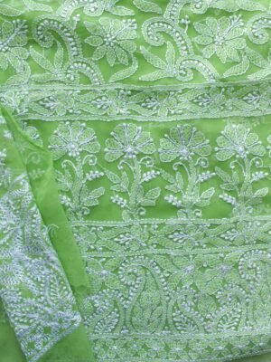 Dhani-Green-georgette-chikankari-ladies-kurta